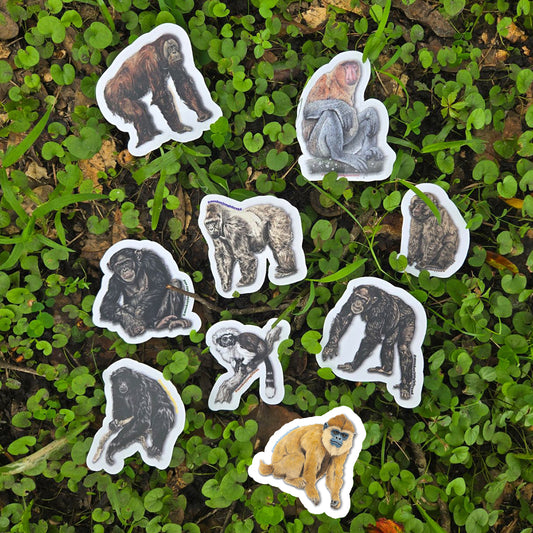 Naturalist Sticker Pack