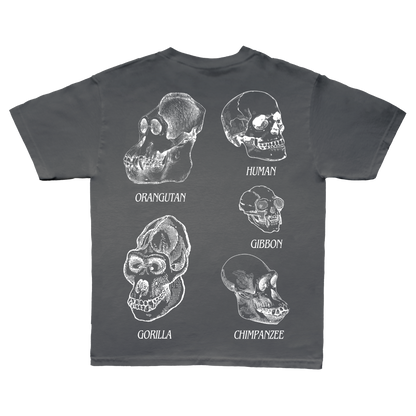 Skulls T-shirt